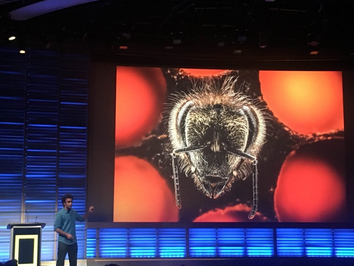 Video National Geographic & The Webby Awards