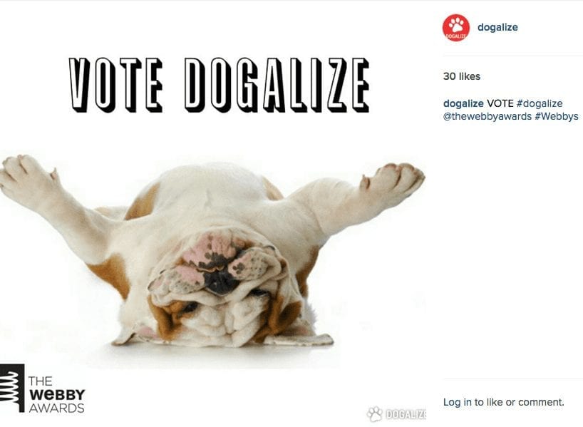 Dogalize lead the pack with Instagram posts like these.