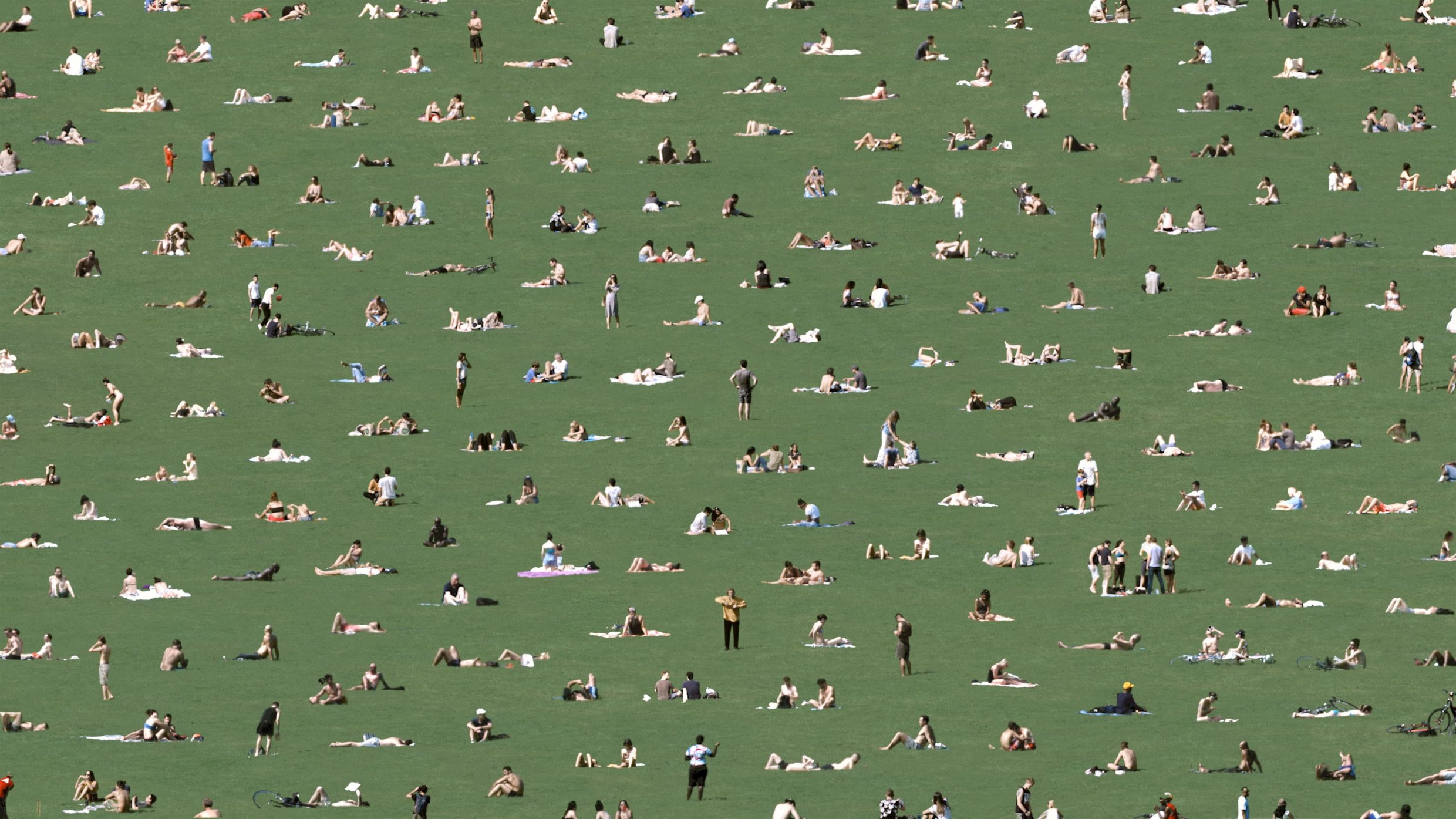a still from "17 small ideas" by andrew myers. shot of green park, people sitting in the park equidistant from each other.