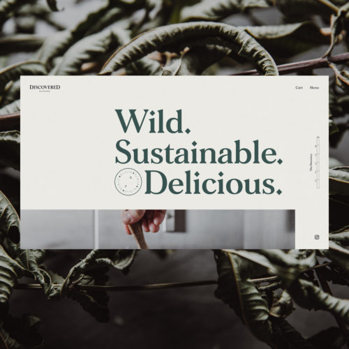 Discovered Wildfoods eComm Experience Feature 1500