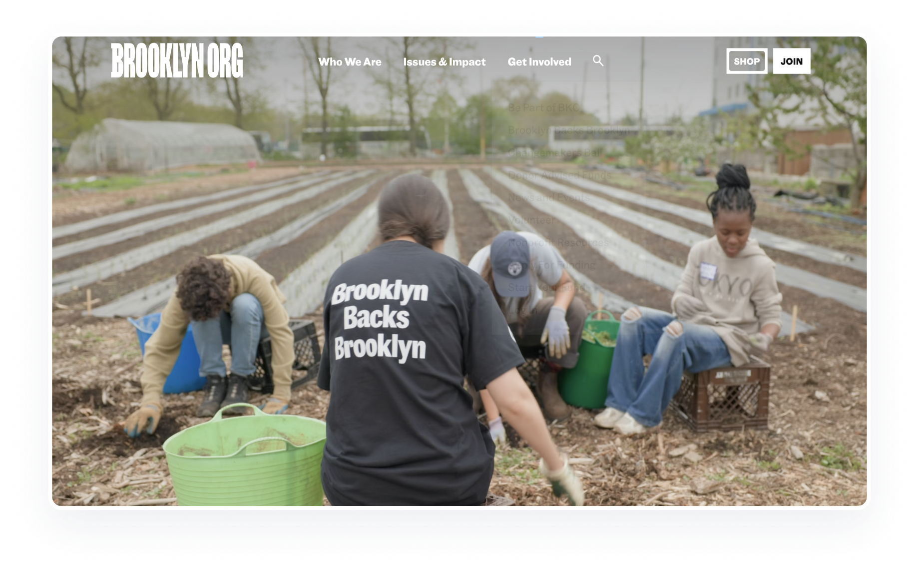 A screenshot of Brooklyn Org
