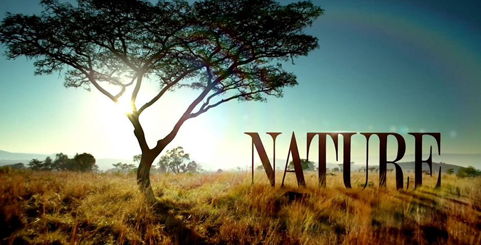 Nature - PBS Digital Studios (2022 People\'s Voice Winner)