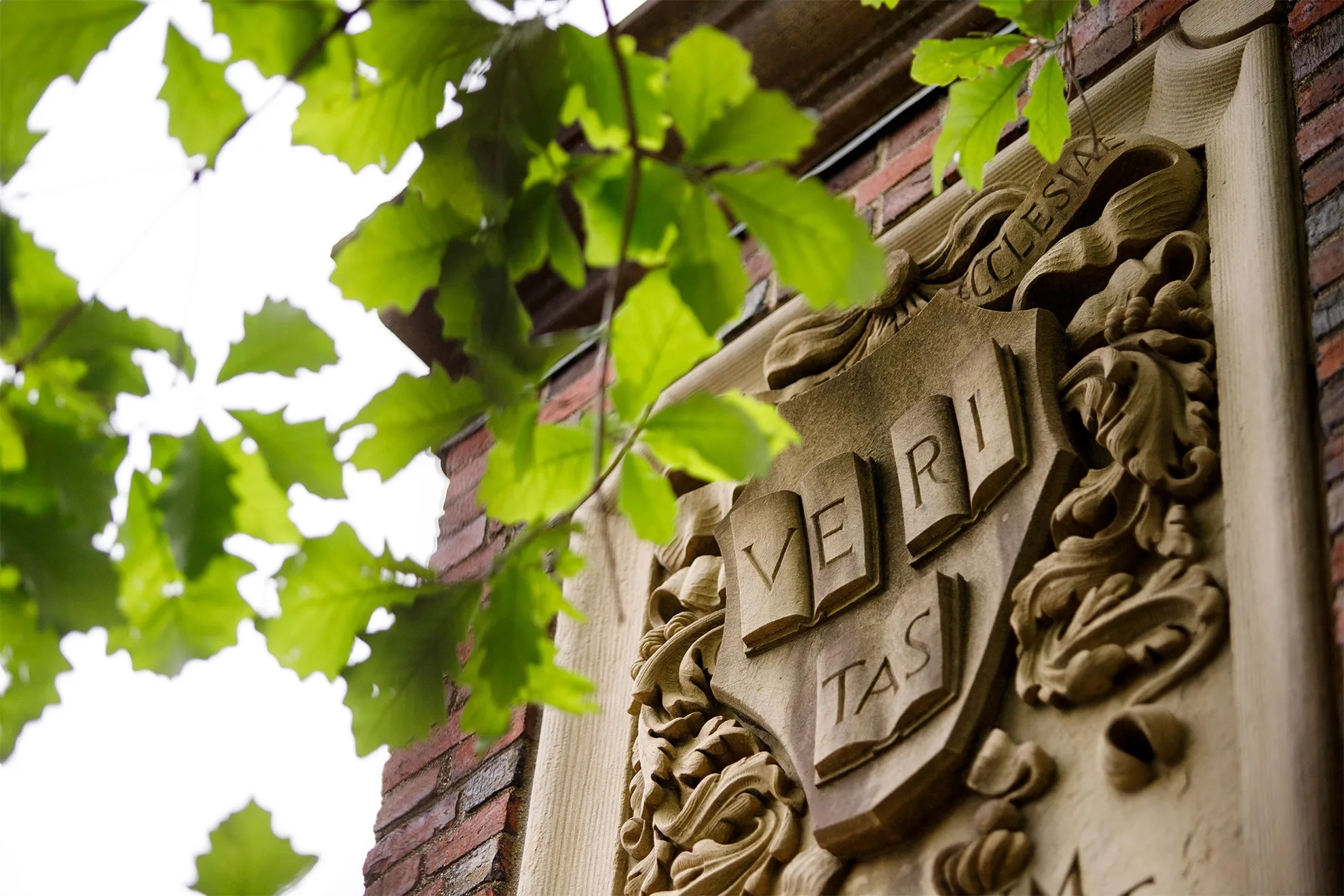 A screenshot of The Harvard Gazette